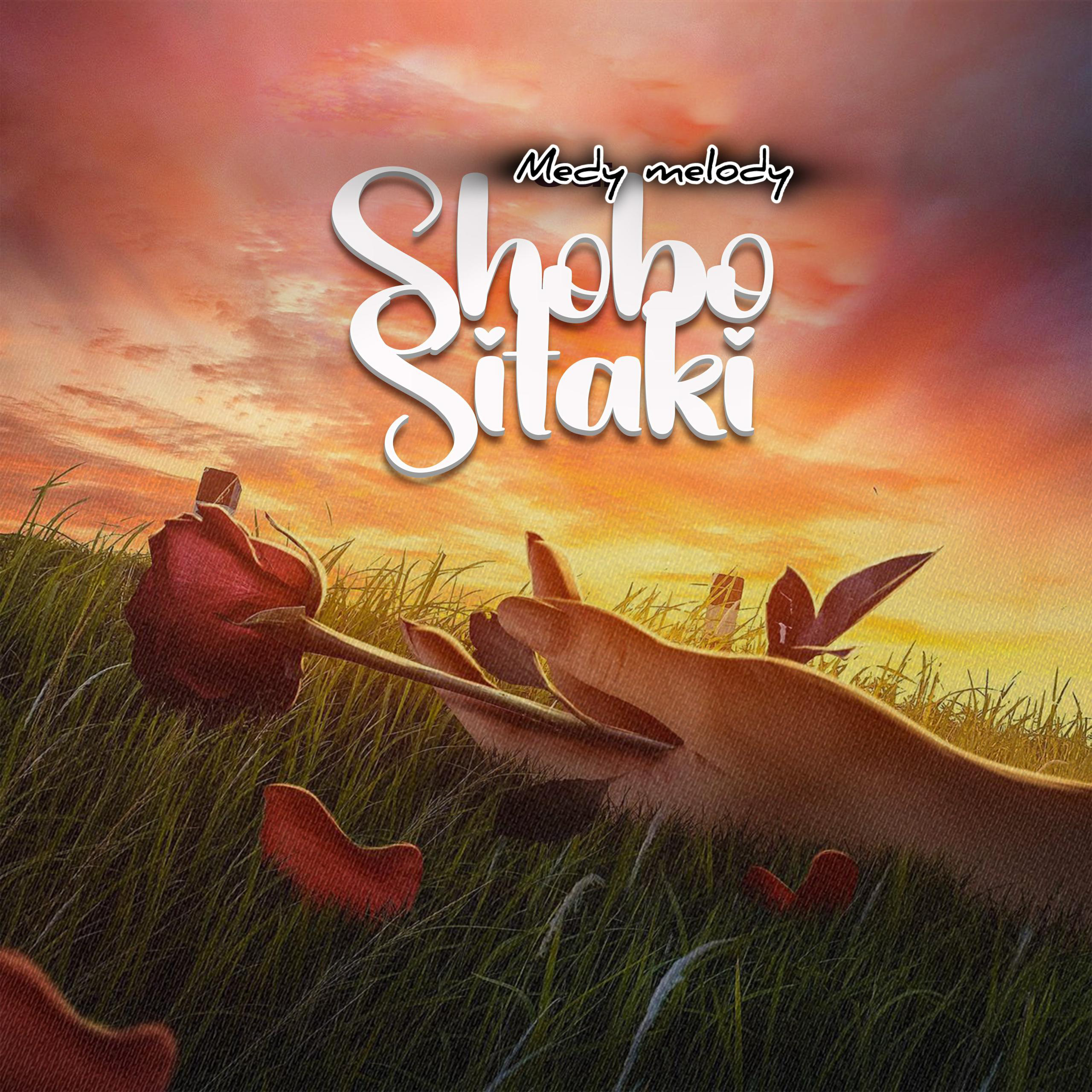  Medy Melody - Shobo Sitaki (Official Audio Cover 2026)