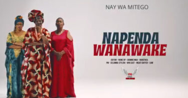 Nay Wa Mitego – Napenda Wanawake