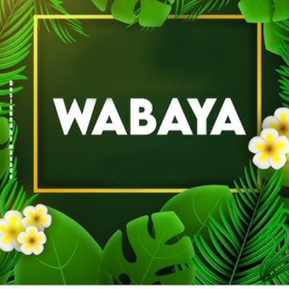 Pacha Mc 17 - Wabaya