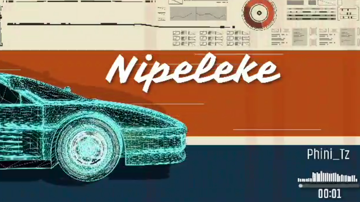 Phini Tz - Nipeleke
