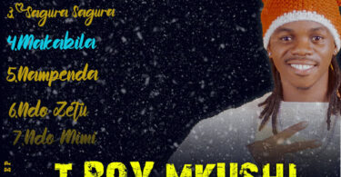 T Boy Mkushi - Makabila
