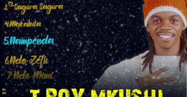 T Boy Mkushi - Nampenda