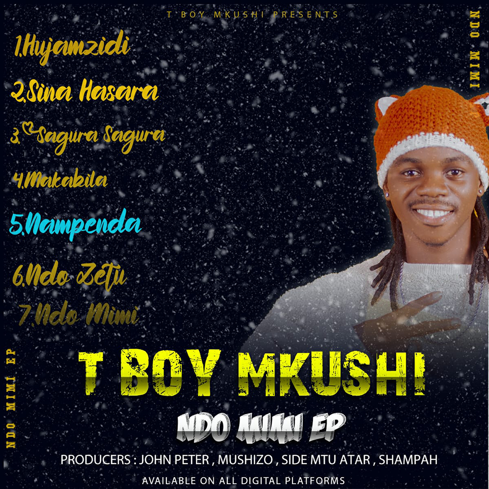 T Boy Mkushi - Nampenda