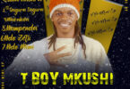 T Boy - Mkushi Ndo Mimi EP