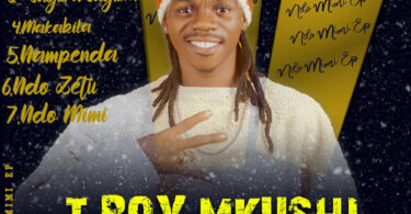 T Boy - Mkushi Ndo Mimi EP