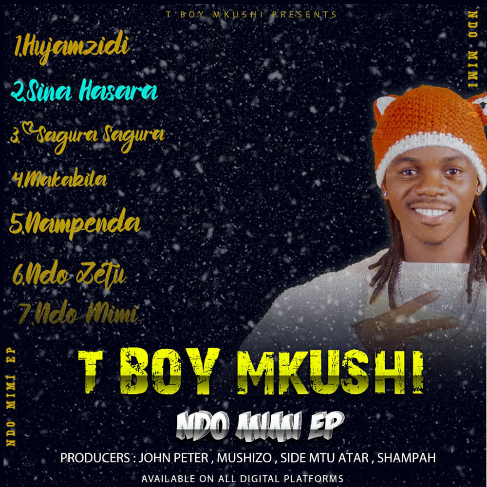 T Boy Mkushi - Sina Hasara