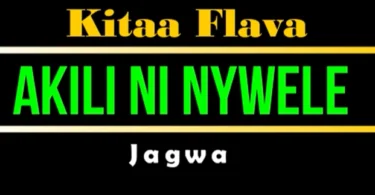 Jagwa Music - Akili ni Nywele(Official Audio Cover 2025)