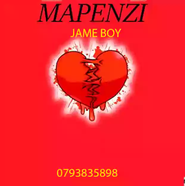 Jame boy - Mapenzi (Official Audio Cover 2025)