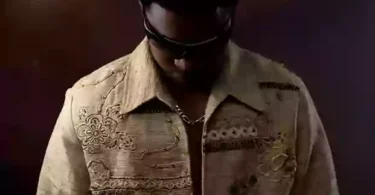 Podo – Leo (Official Audio Cover 2025)