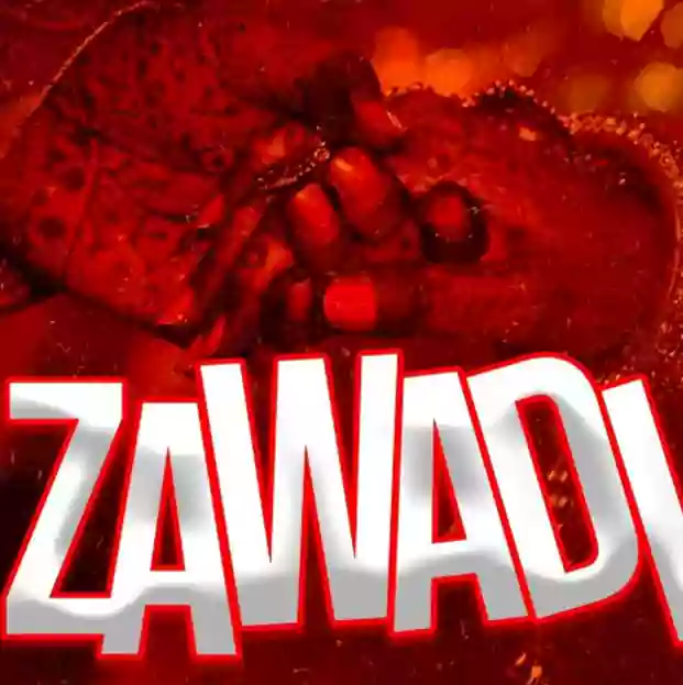 Raphael Mgina – Pokea Zawadi (Official Cover 2025)
