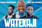 Roma Ft Nay Wa Mitego - Watekaji (Official Audio Cover 2025)