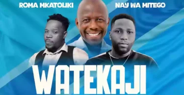 Roma Ft Nay Wa Mitego - Watekaji (Official Audio Cover 2025)
