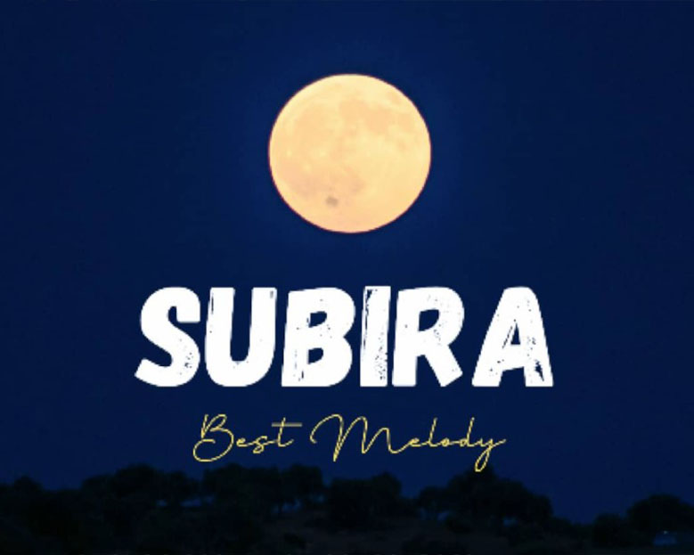Best Melody ( Official audio cover 2025)