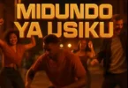 DJ One Tz - Midundo ya Usiku Singeli Beat (Official Audio Cover 2025)