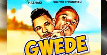 Hashaki Tz Ft. Sulexh Technician - GWEDE GWEDE (Official Audio Cover 2025)