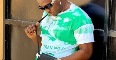 Lava Lava – Ningefanyaje(Official Audio Cover 2025)