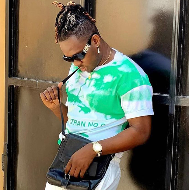 Lava Lava – Ningefanyaje(Official Audio Cover 2025)