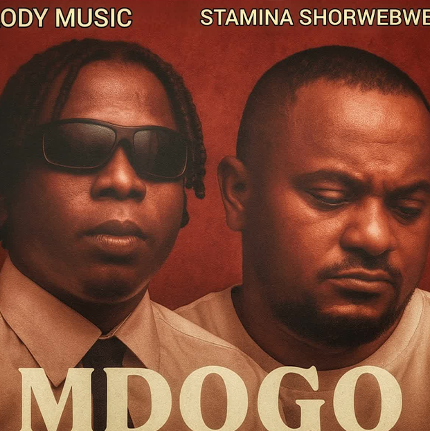 Lody Music X Stamina Shorwebwenzi – Mdogo Mdogo (Official audio cover 2025)