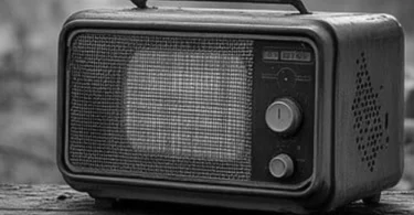 Marijani Raajab - Mwanameka (Official Audio Cover 2025)