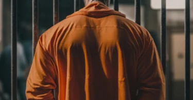 P Zona - Jela (Official Audio Cover 2025)