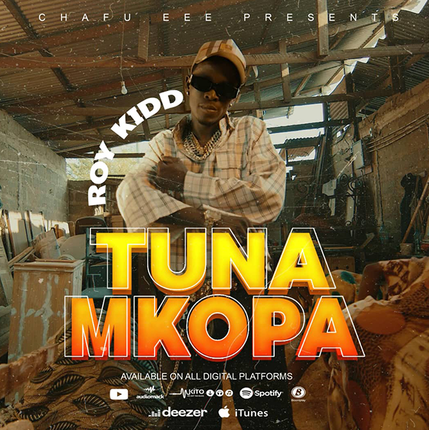 Roy Kidd - Tunamkopa (Official Audio Cover 2025)