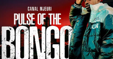 Canal mjeuri ft Sina Jina mc - Sheria pombe (Official audio cover 2025)