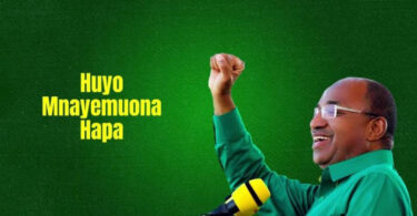 D Voice – Bwana Maendeleo (Official audio cover 2025)