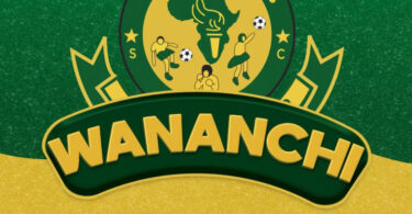 D voice – Wananchi (Official audio cover 2025)