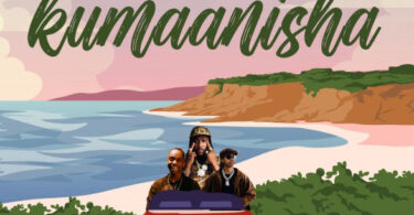 Dayoo X Ibraah Ft Misso Misondo - Kumaanisha (Official audio cover 2025)