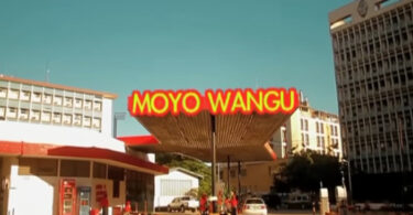 Diamond Platnumz - Moyo Wangu (Official audio cover 2025)
