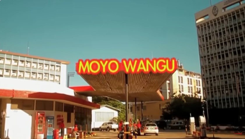 Diamond Platnumz - Moyo Wangu (Official audio cover 2025)