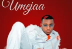 Fammi Africa – Umejaa (Official Audio Cover 20250