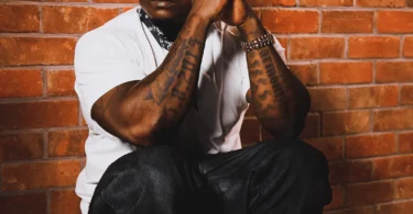 Harmonize – KIDEDEA(Official Audio Cover 2025)