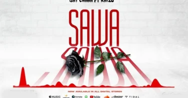 Jay Chaka Ft. Braizo - Sawa (Official Audio Cover 2025)
