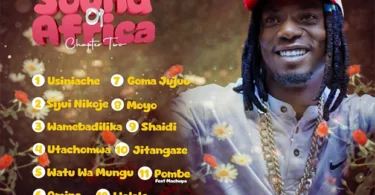 Jay Combat - Sound Of Africa Chapter Two(Official Album Cover 2025)