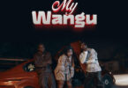 Lamapozz Ft Amber Lulu & Country Wizzy – My Wangu (Official Audio Cover 2025)