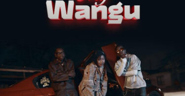 Lamapozz Ft Amber Lulu & Country Wizzy – My Wangu (Official Audio Cover 2025)