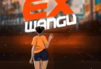 Mndenge Tz - Ex Wangu (Official Audio Cover 2025)