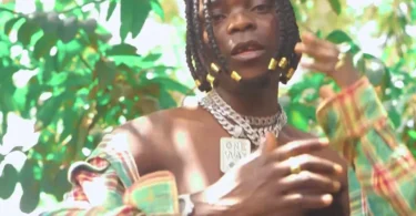 Mr sliver- LALA (Official Video Cover 2025)