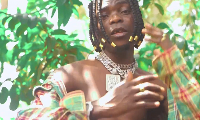 Mr sliver- LALA (Official Video Cover 2025)