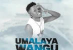 Mudy Msanii - Umalaya Wangu (Official Audio Cover 2025)