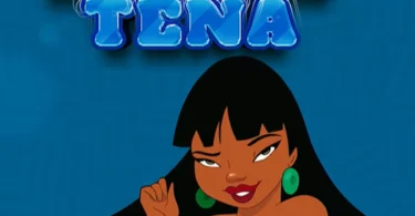 Palu simela Ft. Stizo - Alooh Tena (Official Audio Cover 2025)