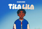 Password – Tila lila (Official audio cover 2025)