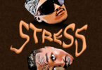 Platform Ft. Ibraah – Stress (Official audio cover 2025)