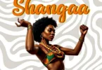 Seneta Kilaka Ft. Mbwido - Shanga (Official Audio Cover 2025)
