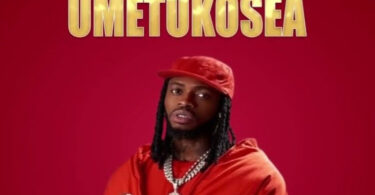 Shededee – Umetukosea Diamond (Official audio cover 2025)