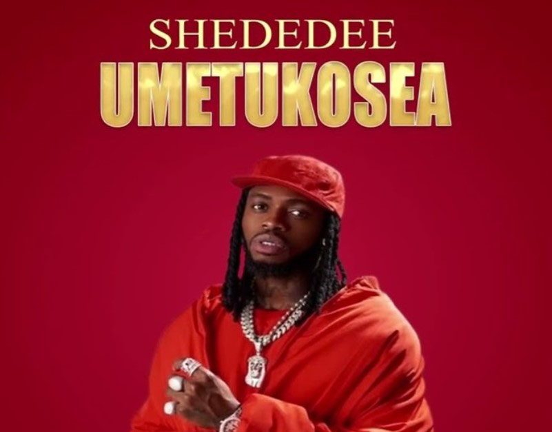Shededee – Umetukosea Diamond (Official audio cover 2025)