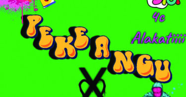 Shila Atari Mc - Peke Yangu (Official Audio Cover 2025)