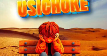 Stizo – Usichoke (Official audio cover 2025)