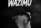 Tommy Flavour Ft Jaivah – Wazimu (Official audio cover 2025)